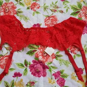 Lane Bryant Plus Size Lingerie